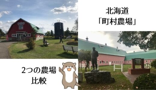 牧場のソフトクリームといえば【町村農場】北海道にある2か所の農場を比較してみた